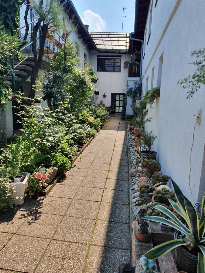 Appartement Roiss Podersdorf am See Dış mekan fotoğraf
