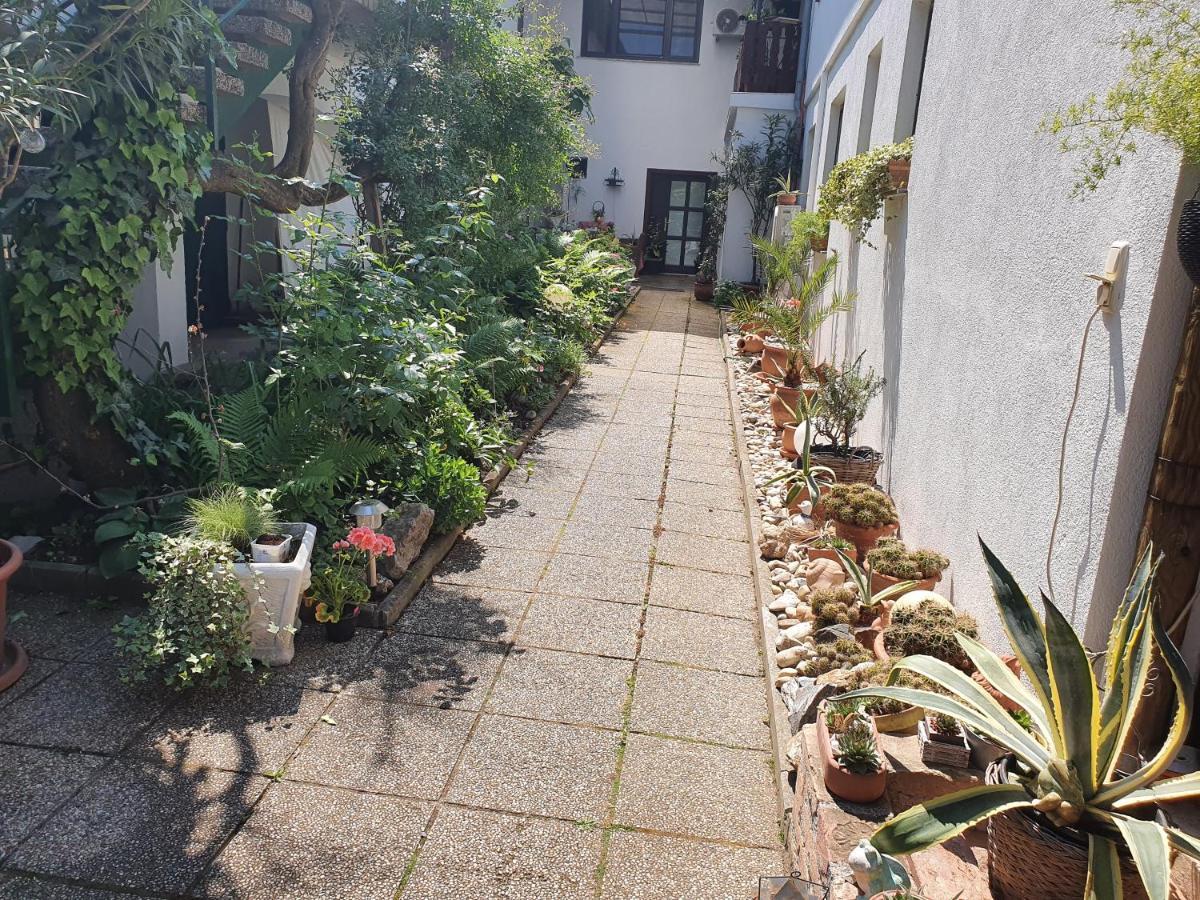 Appartement Roiss Podersdorf am See Dış mekan fotoğraf